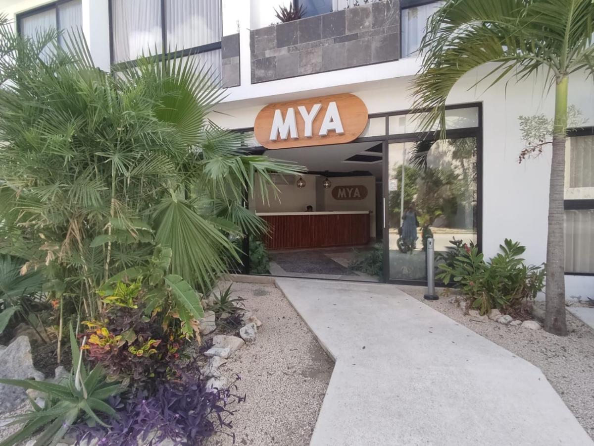 Nuevo Estudio Con Terraza Totalmente Equipado Tulum Aldea Zama Exterior foto